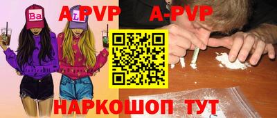 крисы Новозыбков