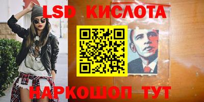 ECSTASY Новодвинск