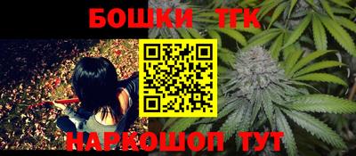 крисы Новозыбков