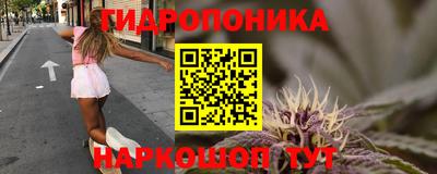 крисы Новозыбков