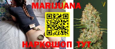 крисы Новозыбков
