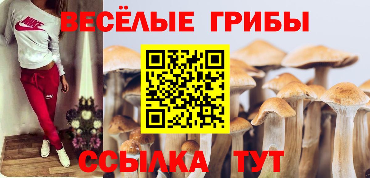 Псилоцибиновые грибы мицелий Учалы